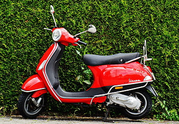 Bright red Vespa scooter parked against a lush green hedge, showcasing vibrant contrast. HD wallpaper