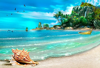 Summer dreams, sea, shell, nature, beach HD wallpaper