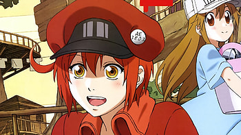 Cells at Work! Code Black, Top , Cell at Work, Backgrounds HD wallpaper
