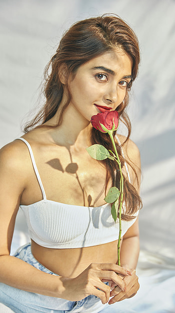 Pooja hedge, multilingual actress, , rose HD phone wallpaper