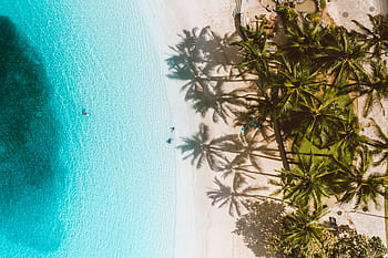 A breathtaking aerial view of a Hawaiian beach with turquoise waters and palm tree shadows on white sand. HD wallpaper
