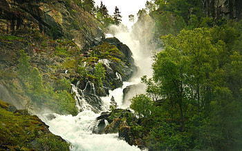 Stream, Amazon Rain Forest HD wallpaper