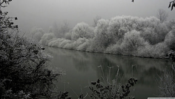 Black winter day, winter, river, black, , frosty, snow, , water, frosted, frost, scene, frozen, landscape, dark, nature, forest, ice, stream HD wallpaper