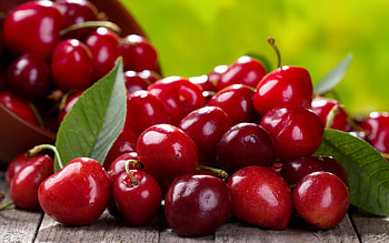 Best cherry , Top cherry choice, Stunning cherry background, masterpiece HD wallpaper