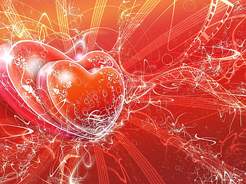 Holidays, Hearts, Valentine's Day HD wallpaper