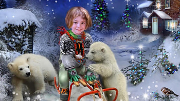 •ღ✿ღ•, winter, pola bears, snow, christmas, nature HD wallpaper