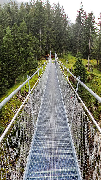 Bridge in the Nature, nature, bridge HD phone wallpaper