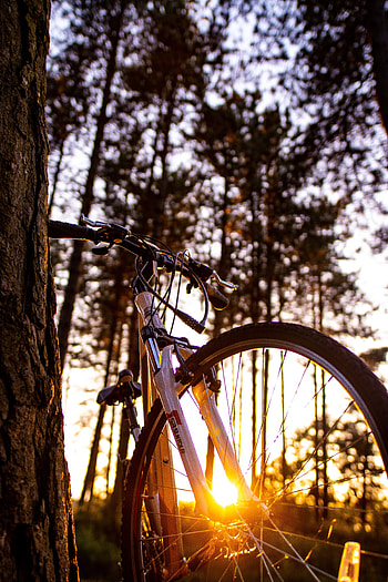 Summer, Miscellanea, Miscellaneous, Sunlight, Bicycle HD phone wallpaper