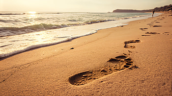 Serene Beach Footprint - Ultra, footprint, beach, ocean, sand HD wallpaper