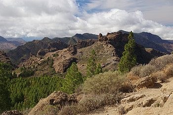 Nature, Sky, Bush, Rocks, Relief HD wallpaper