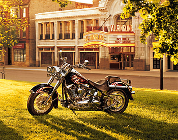 Hog Light, custom, hog, harley, bike, sunset HD wallpaper