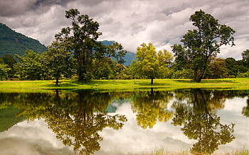 Landscape, Rivers, Trees HD wallpaper