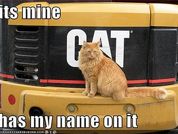 Its All Mine, name, mine, cat HD wallpaper