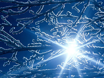 Nature, Sun, Shine, Light, Beams, Rays, Branches, Branch, Hoarfrost, Frost HD wallpaper