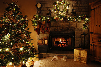 Immersive fireplace , Captivating fireplaces, Serene environments, Welcoming warmth HD wallpaper