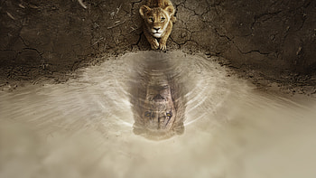 Mufasa: Pride's Reflection — The Lion King Ultra, Mufasa (The Lion King) HD wallpaper