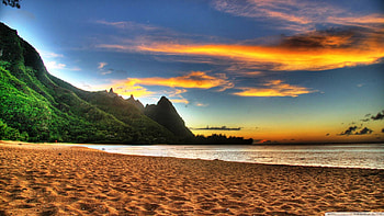 Beach Sunset, sea, golden, hills, trees plant, moutains, clouds, nature, sky, sun, sunset HD wallpaper