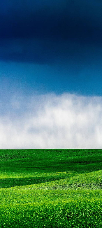 Green grass landscape, Sky , Natural beauty, Refreshing view HD phone wallpaper