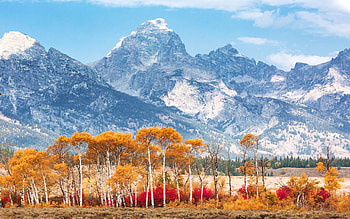 Autumn in Grand Teton National Park, fall, landscape, trees, colors, usa, wyoming, aspens, leaves, clouds, sky HD wallpaper