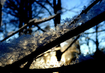 snow, winter, branch, evening HD wallpaper