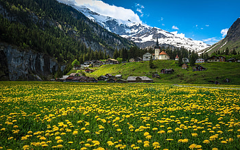 Canton of Uri Switzerland, Switzerland, Uri, beautiful, canton HD wallpaper