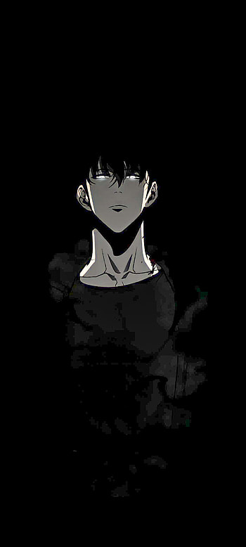 Sung Jinwoo, Leveling, Solo, SungJinwoo, Manwha, SoloLeveling, Manga HD phone wallpaper