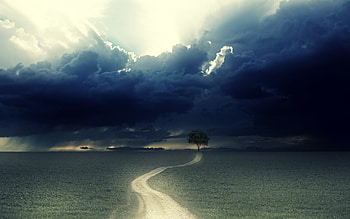 Landscape, Trees, Fields, Clouds HD wallpaper
