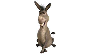 Donkey, Shrek HD wallpaper