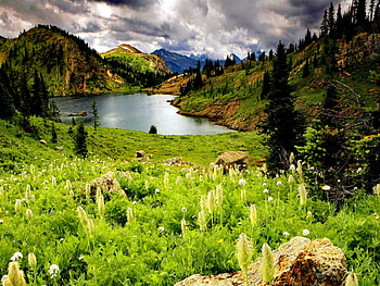 The beautiful nature of Alberta, river, lakeshore, nice, shore, reflection, greenery, canada, america, alberta, slopes, beautiful, grass, lake, stones, mountain, summer, green, clouds, nature, sky, riverbank, lovely HD wallpaper