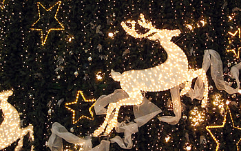 holiday lights, winter, holiday, graphy, deer, christmas, decorations, stars HD wallpaper