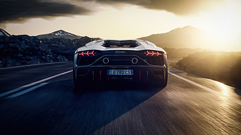 Lamborghini Aventador The Stallion, lamborghini-aventador, lamborghini, cars HD wallpaper