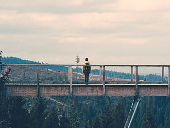 Nature, Miscellanea, Miscellaneous, Bridge, Human, Person, Loneliness HD wallpaper