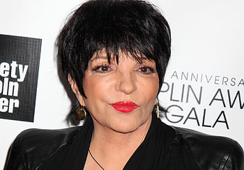Liza Minnelli, Classic , Timeless beauty, Chic style HD wallpaper