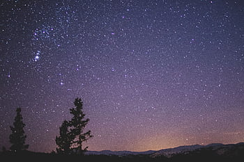 A stunning view of a star-filled night sky with silhouetted trees and distant mountains, perfect for stargazing enthusiasts. HD wallpaper