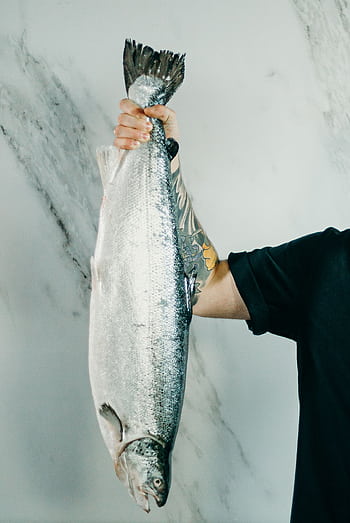 A tattooed hand holds a large raw salmon, perfect for culinary themes. HD phone wallpaper
