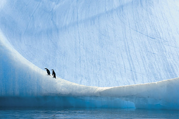 Antarctica , Background HD wallpaper
