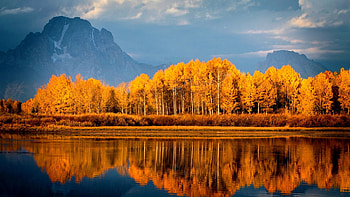Autumn Trees On Lake, autumn, lake, trees, nature HD wallpaper