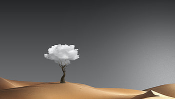 Desert Fantasy, manipulation, desert, tree, artist, artwork, digital-art HD wallpaper