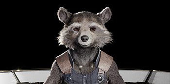 Rocket Raccoon, Fan art, Zbrushcentral HD wallpaper