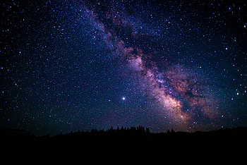 Trees, Universe, Stars, Night, Starry Sky, Nebula HD wallpaper