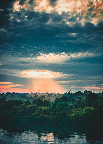 Clouds, sunbeams, sunset, river, tree, nature HD phone wallpaper