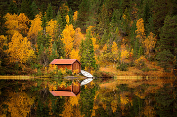 Amazing autumn reflections, amazing, forest, tranquility, boat, colorful, house, fall, beautiful, lake, serenity, reflection, autumn, trees HD wallpaper