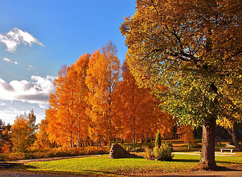 October, colorful, glow, colors, nice, reflection, shine, autumn, golden, fall, beautiful, tree, falling, leaves, mirrored, pretty, branches, nature, lovely, foliage HD wallpaper