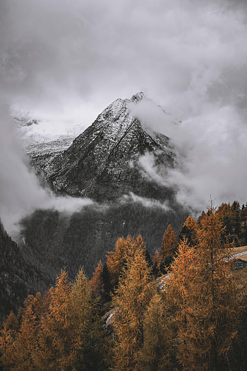 Nature, Trees, Clouds, Mountain, Vertex, Top HD phone wallpaper