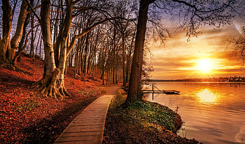 the golden hour during day, trees, autumn, sky, lake HD wallpaper