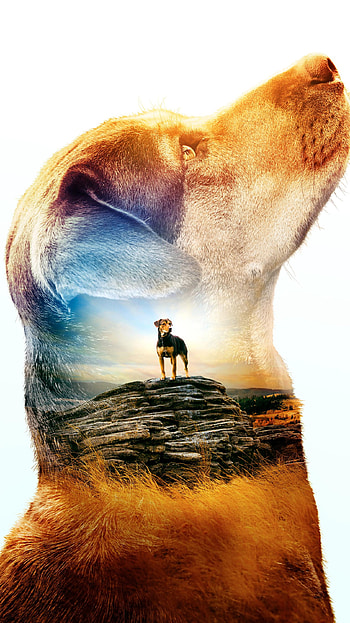 A Dog& HD phone wallpaper