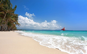 Coconut trees, Tropical sailboats, Boracay Island, Philippines HD wallpaper