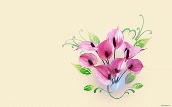 Perfect Purple, , purple, flower HD wallpaper