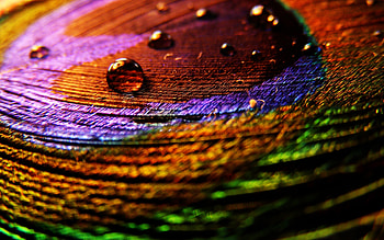 Background, Drops HD wallpaper