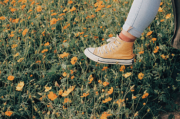 Flowers, Summer, Miscellanea, Miscellaneous, Sneakers, Stroll, Shoes HD wallpaper